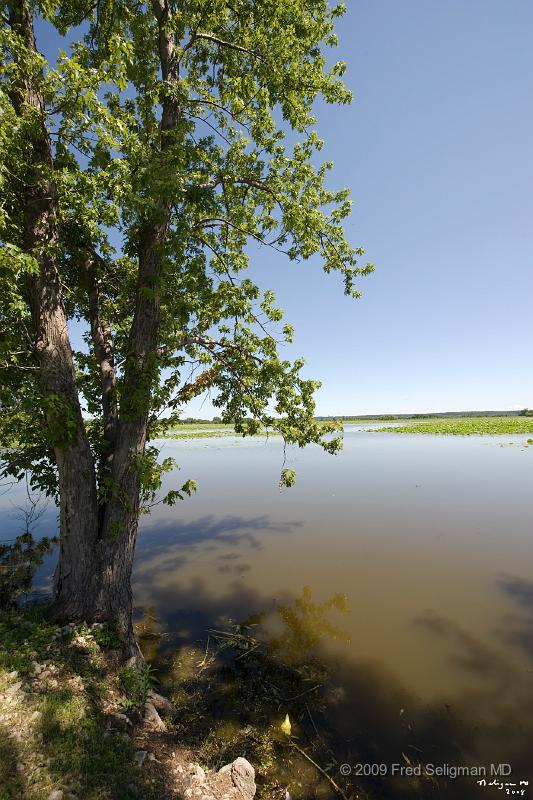 20080714_154606 D3 P 2800x4200.jpg - Flood areas, Amana Colonies, Iowa